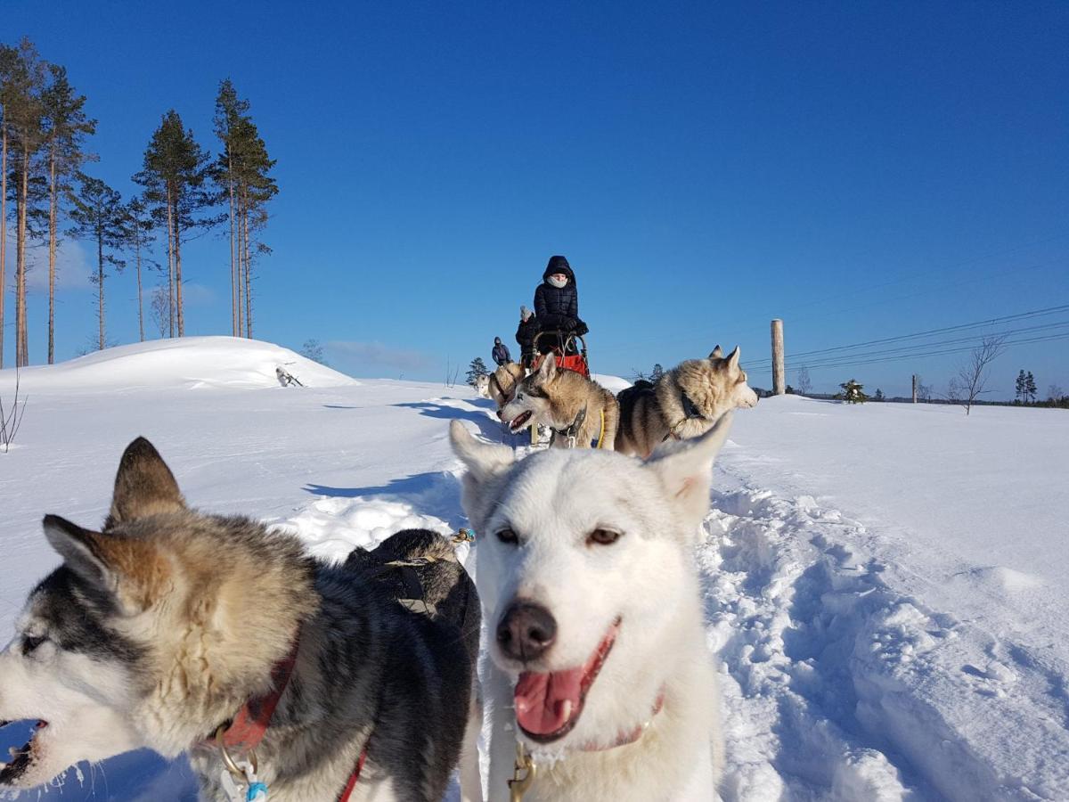 B&B Lergodset Hammarstrand - Jämtland Exteriör bild