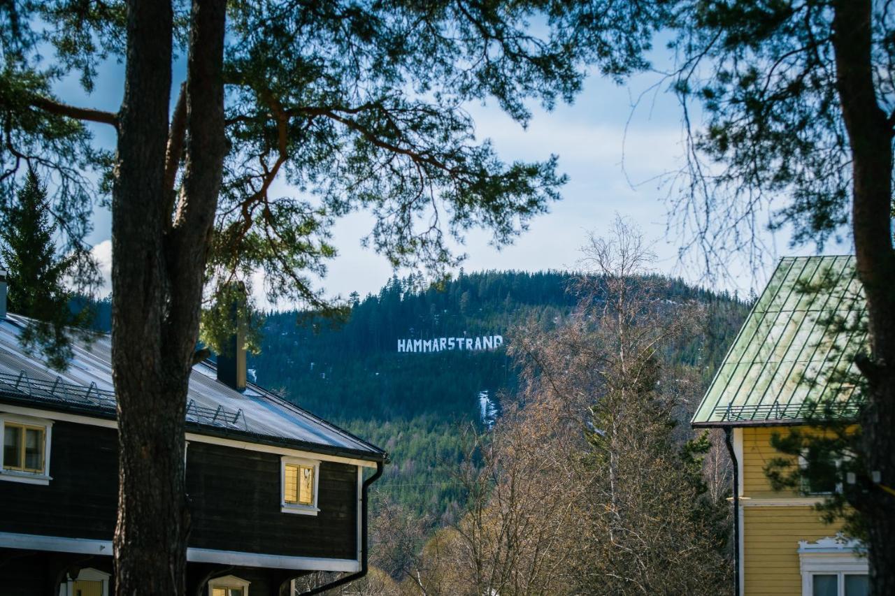 B&B Lergodset Hammarstrand - Jämtland Exteriör bild